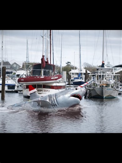 El Santa tiburon Es Atacado...........#humor#cine#pelicula