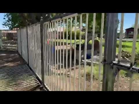 Backyard Fence Fabrication & Installation Project by Mobile METAL Medics