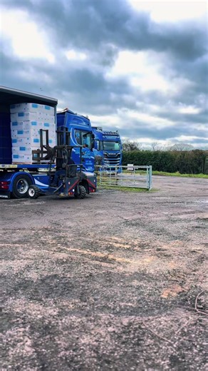 Stunning Sky View: A Closer Look at Nature's Beauty