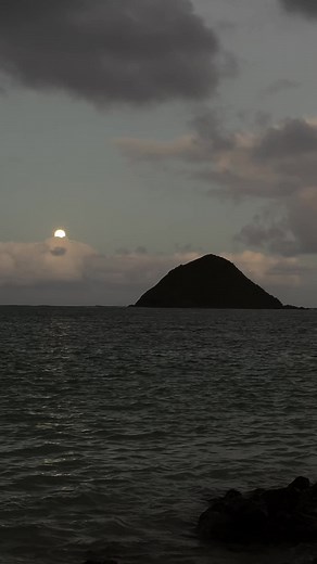 Magical Mermaid Music: Dive into the Melodic World of Mako Mermaids