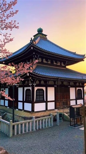 Konkaikomyoji (Kyoto) / 金戒光明寺