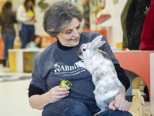 Bunny 'meet-n-treat' back on at Rabbitats in Richmond
