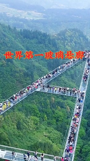 woman on horseback (@woman.on.horsebac)’s videos with Aesthetic - Tollan Kim