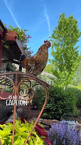 19K views · 128 reactions | Let’s clear up a few things about...