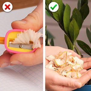 Ease Your Gardening With These Hacks! | Everyday Life