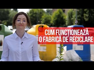 How a recycling factory works - CaseBune.ro