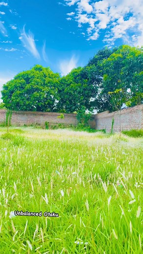 Nature heals ✨. #naturevibes #instabest_photography #instabest_photography #reelsfypシ #splendid_shotz #beautiful #relax #cinematography | Unbalanced Otaku -オタク