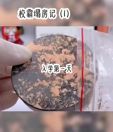 Unique Techniques for Using Compact Powder Cases