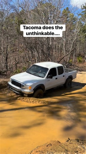 Wait for it! #outdoors #mudding #reels #trend #viral #trending | East Alabama Reptiles