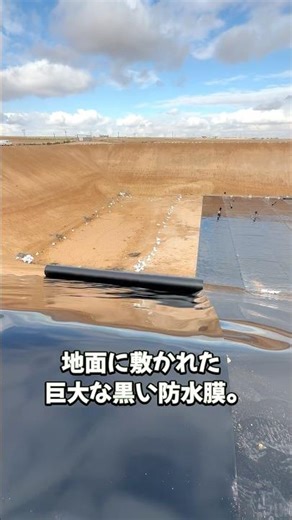 砂漠でダイブ!? 黒い膜が生んだ水の奇跡