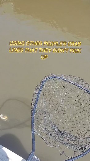 Catching blue crabs with someone's crab lines they left behind. #bluecrabs #bluecrab #fishingcrabs | Lance Billiot