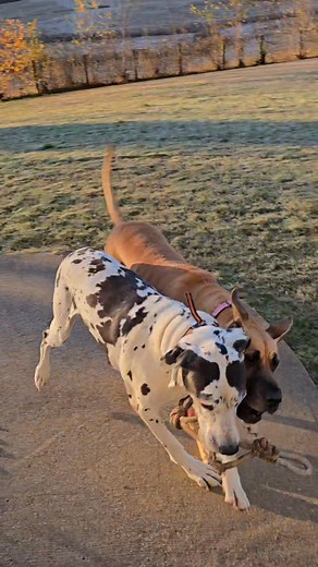 Frisky biscuits this morning!! | Yasmin Choate