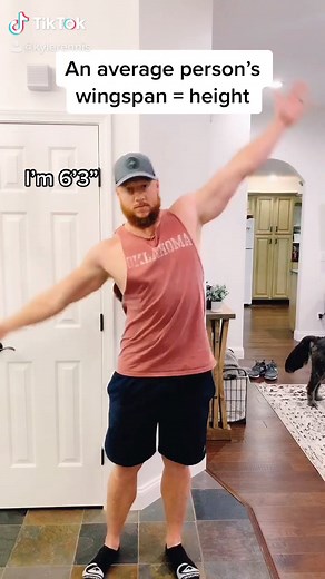 Understanding Swimmer's Wingspan and Height Disproportion