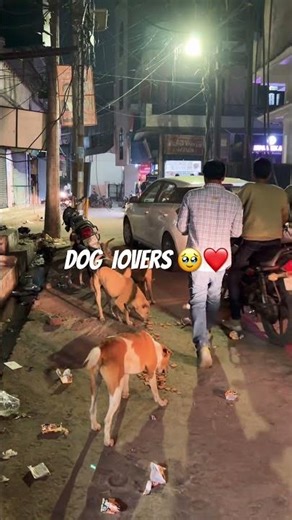 🥹🥹🥹❤️🐶 #trendingreels