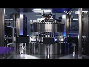 Automatic Visual Inspection and Leak Test Machine