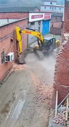 Man Rides Pig on Highway?! 🤯 #HighwayHog