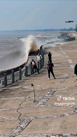 Creepy Ocean Animals Caught On Camera