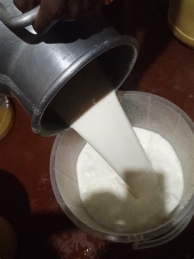 Fresh Milk 🥛 #healthyfood #work