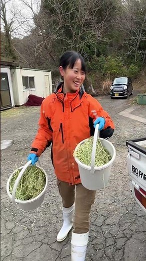 Japan Zoo! Inside the World's Most Interactive Park Feeding 2000 Animals
