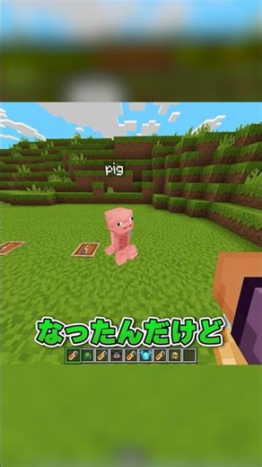 The secret of the name tag #Minecraft