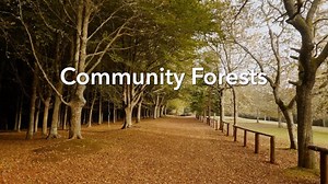 101 reactions · 18 shares | Trust for Public Land donors have helped create 34 community forests ... and counting! Learn more about the benefits of keeping forests in local ownership, and read all about one small New England town where this approach has made a big difference: tpl.org/randolph-community-forest | Trust for Public Land | Facebook