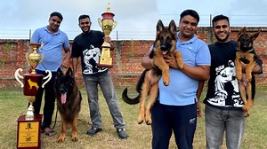 World Champion German shepherds in Meerut Uttar pradesh😱 | Pulkit VAMP