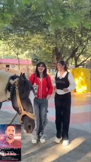 Ham Gaye bina paise ka ghumne#shorts