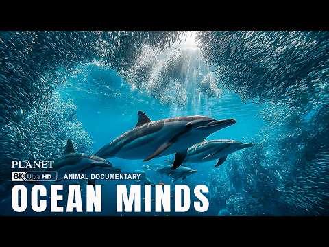 Smartest Animals in the Ocean 4K 🧠 | Hidden Intelligence of the Deep – Who Is the Smartest?
