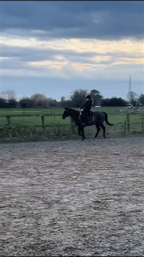 George’s canter 😍