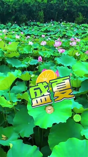 DIY Magic Mirror: Create Your Own Enchanted Portal