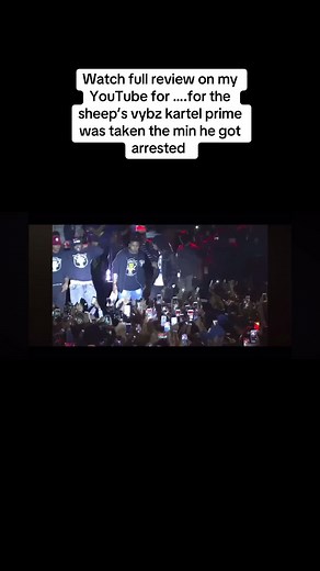 zRicochetz3 on TikTok