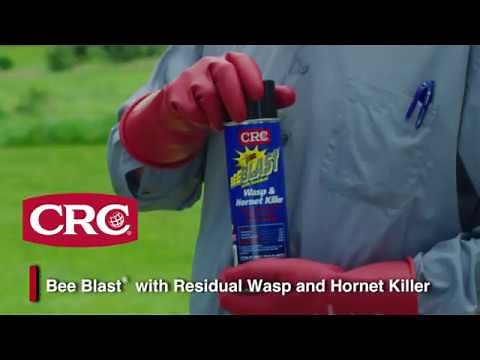 How to Kill Wasps, Hornets and Bees - CRC Bee Blast®