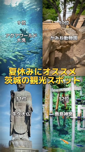茨城で、素敵な夏を過ごしませんか？ #茨城 #観光 #観光スポット #夏休み #日帰り旅行 #関東観光 #絶景 #絶景スポット テンプレート作者はタグ付けしてます