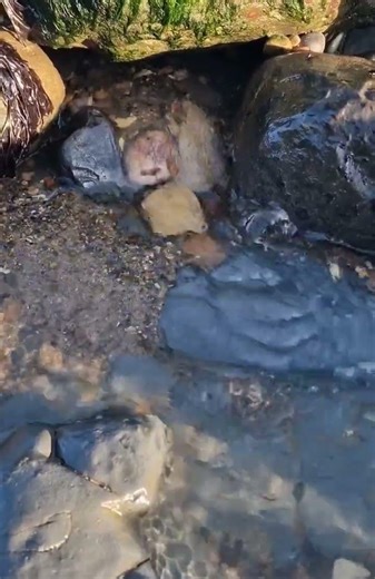 Going with the Flow #gowithflow #mindfulpresence #contemplation