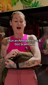 Help me help the bears! ❤️🐻 And watch out for scammers! I created the Single Mother of Kinkajous Fund on Patreon. For only $5 a month, you can help sustain us all. Thank you 🙏❤️🐻 #kinkatopia #animals #kinkajou #florida #honeybear #mammals #rescue #sanctuary #scam #singlemom | Kinkatopia