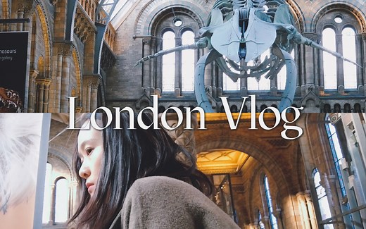全英vlog｜伦敦自然历史博物馆，终于看到了那只蓝鲸的骨架