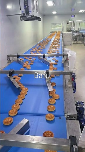 bread packaging machine, cake packaging machine, biscuit packaging machine, flow wrapper, flow-pack