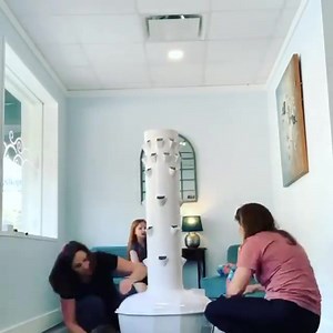 There’s nothing more exciting than getting your Tower Garden ready. Assembly is quick and easy so you can get growing in as little as 20 minutes! : @breatheasy_wellness_center​ ​ #TowerGarden #easy #healthyliving #greenliving #cleaneating #getgrowing #growgreen #aeroponics #kitchengarden #verticalgarden #veticalfarming #homegarden #gardening #growlights #hydroponics #growyourownvegetables #leafygreens | Tower Garden | Facebook