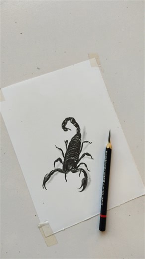 Scorpion 🦂 Hyper Realistic Drawing #shorts #youtubeshorts