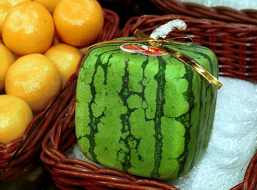 Square Watermelons Are A Very Real Thing In Japan And They're Incredibly Expensive, Which Is Mind-Blowing