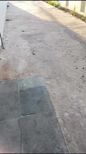 10K reactions · 56 shares | Red Chilli powder machine automatic plant WhatsApp me +91 88716 86000 | Punjab Engineering Corporation | Facebook