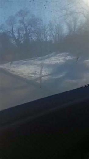 A bumpy road on a school bus #shorts