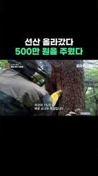 산 한번 올랐다가 로또 됐다 #골라듄다큐 #shorts