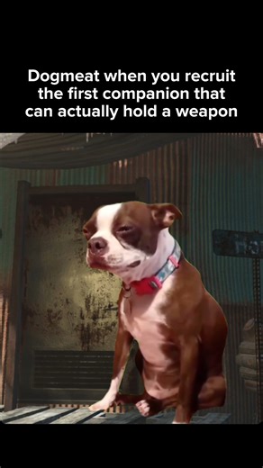 Dogmeat is the best :( | Vault Dude
