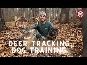 Train Your Dog to Find Any Wounded Deer (Pro Method)