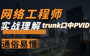 网络工程师通过实战让你更深刻理解PVID，全网怒赞！