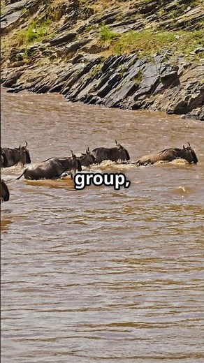 Speciation: Simplified from Allopatric to Parapatric. #facts