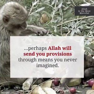 212K views · 11K reactions | Be good even if you don’t receive good in exchange - Allah loves the good doers! Allah is the Most Merciful | Ask A Muslim | Facebook