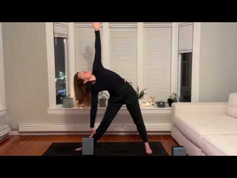 Trikonasana Triangle Pose (28 Day Yoga for Beginner Challenge) 28 Most Popular Poses for Beginners