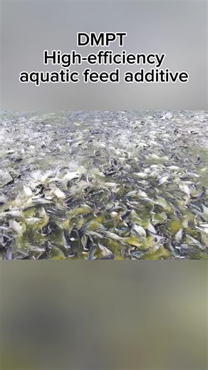 魚餌料製造的功能性添加劑